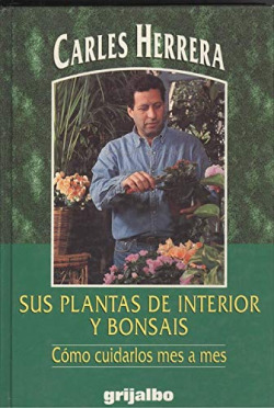 SUS PLANTAS DE INTERIOR Y BONSAIS