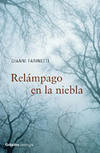 Relámpago en la niebla