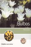 Bulbos