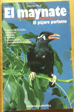 EL MAYNATE