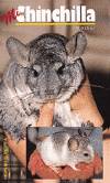 MI CHINCHILLA