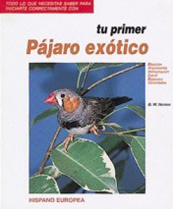 Tu primer pájaro exótico