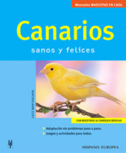 Canarios (Mascotas en casa)