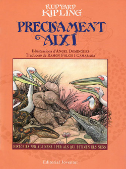 PRECISAMENT AIXI -Rondalles-
