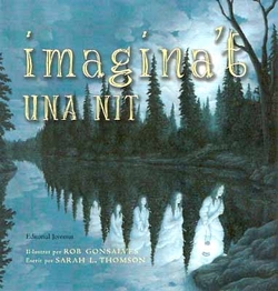 Imagina't una nit