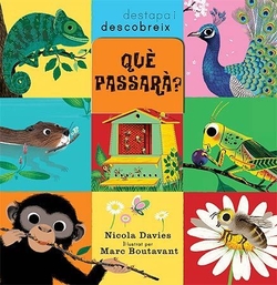 (CAT).QUE PASSARA?.(DESTAPA I DESCOBREIX)