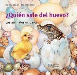 ¿quién sale del huevo?
