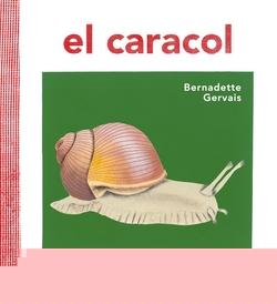 EL CARACOL