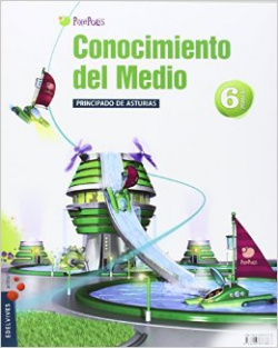 MEDIO 6 EP ASTURIAS PIXEPOLIS 2013