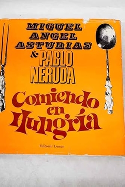 COMIENDO EN HUNGRIA