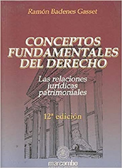 Conceptos Fundamentales del Derecho. 12ª Edición