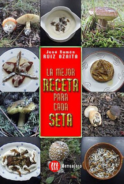 LA MEJOR RECETA PARA CADA SETA