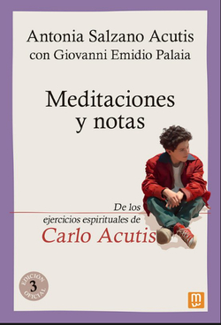 Meditaciones y notas