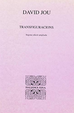 TRANSFIGURACIONS