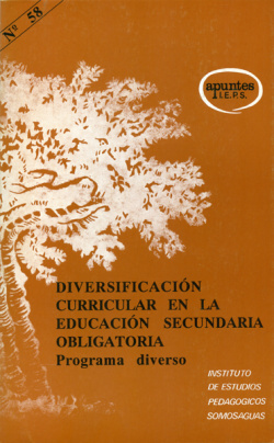DIVERSIFICACION CURRICULAR AI-58