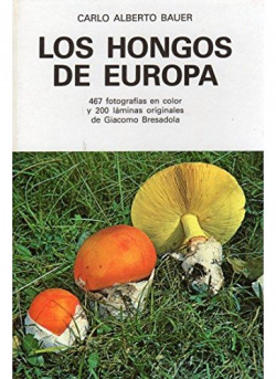 HONGOS DE EUROPA