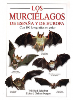 Los murciélagos de España y Europa
