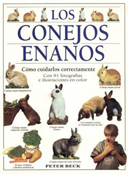 LOS CONEJOS ENANOS