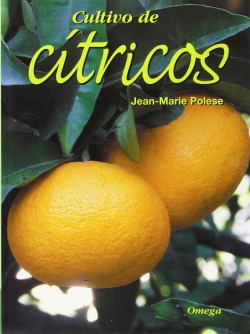 CULTIVO DE CÍTRICOS