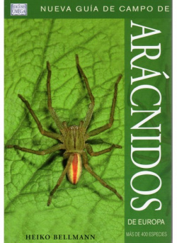 Arácnidos