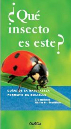 ¿QUÈ INSECTO ES ESTE?