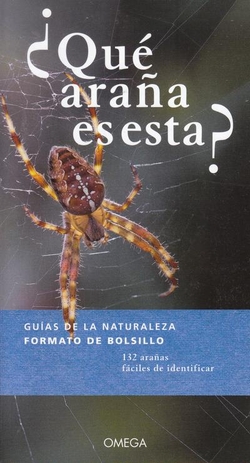 ¿QUÈ ARAÑA ES ESTA?