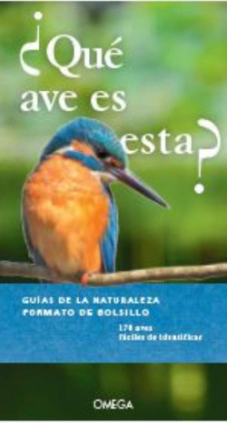 ¿QUÈ AVE ES ESTA?