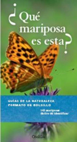 ¿QUÈ MARIPOSA ES ESTA?