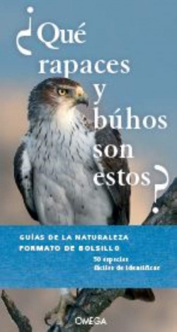 ¿QUÈ RAPACES Y BÚHOS SON ESTOS?
