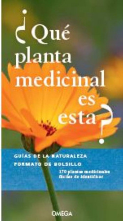 ¿QUÈ PLANTA MEDICINAL ES ESTA?