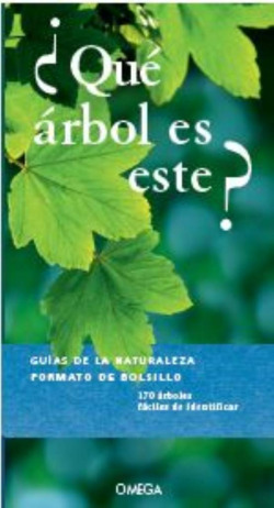 ¿QUÈ ARBOL ES ESTE?