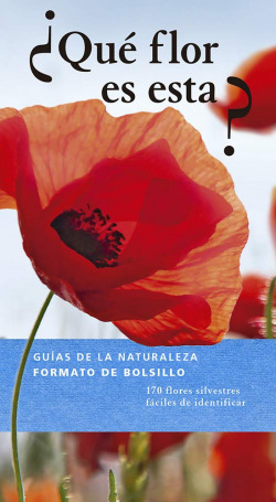 ¿QUÉ FLOR ES ESTA?