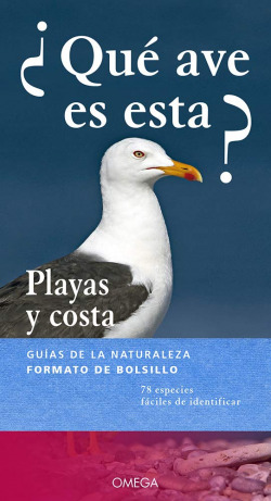 ¿QUÉ AVE ES ESTA?