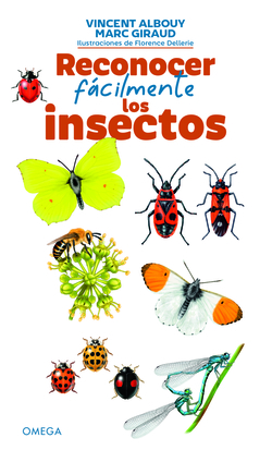 Reconocer facilmente los insectos