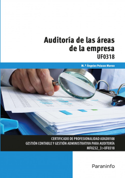 AUDITORÍA DE LAS ÁREAS DE LA EMPRESA