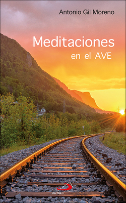 Meditaciones En El Ave