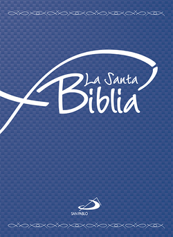Santa Biblia. Bols.. Cartoné Renovada