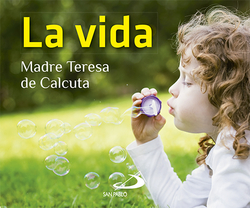 Vida