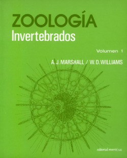 Zoología. Invertebrados