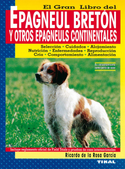 Epagneul bretón