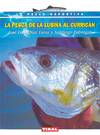 Pesca de la lubina al curricán