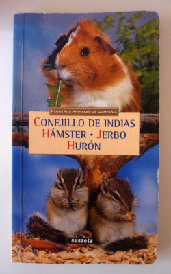 Conejillo de indias - Hámster - Jerbo - Hurón