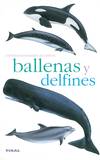 Ballenas y delfines