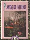 FLORES Y PLANTAS DE INTERIOR