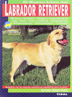 Labrador retriever.