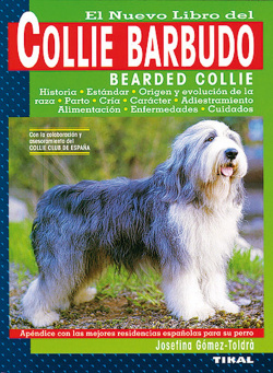 Collie barbudo.