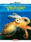 La pesca del calamar, el pulpo y la sepia.