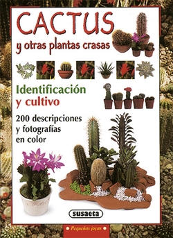 Cactus y otras plantas