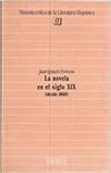 Novela en el siglo xix