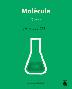 MOLECULA 1R.BATX.(QUIMICA)